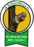 Tcnica de Poda ABNT: 16.246-1